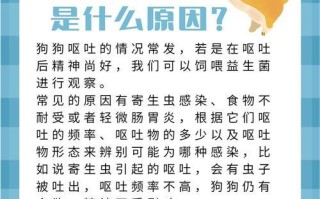 狗狗呕吐的原因及应对方法（从饮食、健康状况到环境，探究狗狗呕吐的各种原因及如何正确应对）