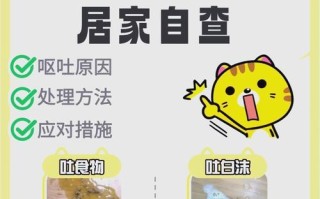 揭秘猫咪挤出白色固体的奥秘（探索猫咪体内白色固体的形成过程及影响因素）