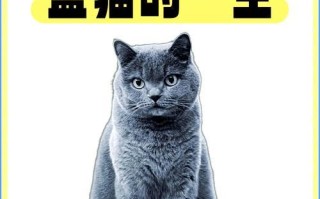 以母蓝猫为主题的“长不胖”的奇特现象（探索母蓝猫为何长不胖的原因）