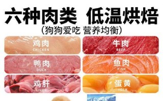 如何选择适合两个月大比熊的狗粮？（以健康成长为出发点，为您的宝贝选择最佳狗粮）
