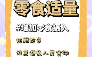 如何帮助美短增肥？（美短偏瘦的原因及增肥方法）