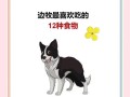 幼犬边牧的喂养指南（科学合理的饮食选择和养护方法，助您培养一只健康快乐的边牧宝宝）