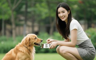 金毛犬的运动量和体力分析（揭秘金毛犬的运动潜力与保持体力的方法）