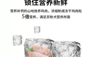 苏格兰牧羊犬的饮食禁忌（宠物饲养必知的15项注意事项）