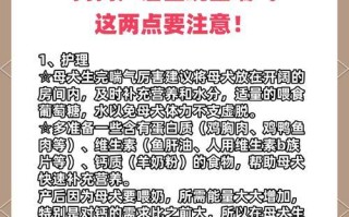 狗狗产后低血钙怎么办（掌握这些方法，让狗妈妈健康度过产后）