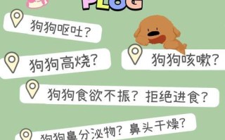 狗狗呕吐的常见疾病及其危害（铲屎官必须警惕，这些疾病可能威胁狗狗的性命）