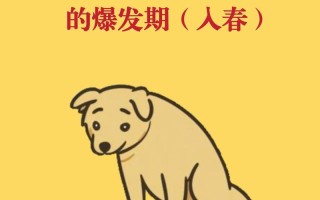 狗狗呕吐的常见原因（了解狗狗呕吐的多种原因及预防方法）