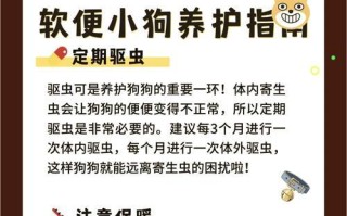 狗狗大便有点稀怎么办？（解决狗狗腹泻问题的有效方法和建议）