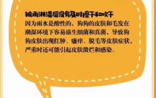 狗的生命危机（探索狗最容易得致命病的原因及预防方法）