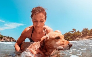 法国斗牛犬是否会游泳？（探究法国斗牛犬的游泳能力及相关注意事项）
