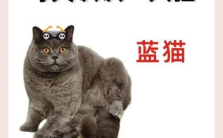 探究我家蓝猫为什么腿长？（解密蓝猫的遗传因素和生物适应能力）