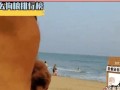 泰迪如何增肥？饮食攻略揭秘（以泰迪吃什么可以增肥？掌握这些关键要点，让你的泰迪健康增肥！）