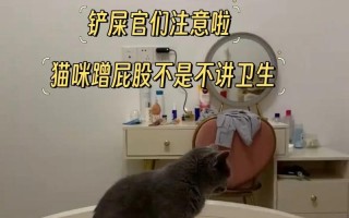 揭秘猫身体内虫子的原因（为什么猫身体里会寄生虫？寻找答案的）