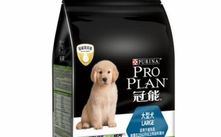 小狗流鼻涕的原因及治疗方法（了解宠物鼻涕流的原因和选择适当药物治疗）