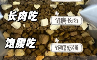 如何选择和喂养适合幼犬的狗粮？（从营养需求到喂养方法，帮助您为幼犬提供最佳的狗粮）
