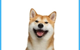 狗狗持续叫声能累死吗？（探究狗狗连续叫声对身体的影响）