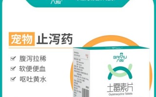 狗狗健康保护（探索宠物保健的关键措施和必要药物，为爱犬提供全面预防保护）