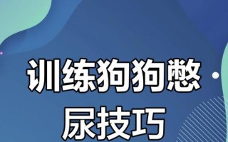 培养阿拉斯加从小的训练方法（以游戏和奖励为基础的积极训练技巧）