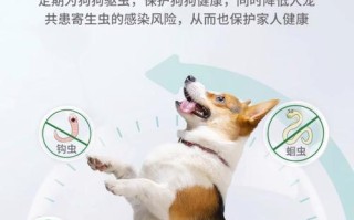 狗体外驱虫（了解狗体外驱虫药物的类型和功效）