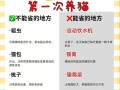 暹罗兔的全面饲养指南（从兔舍建设到饲料搭配，一步步教你打造完美的暹罗兔家庭）