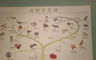 高山白腹鼠的饲养方法（科学饲养，保障健康）