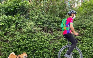 如何训练狗狗与主人一起骑自行车（让你的爱犬成为你的骑行伴侣）