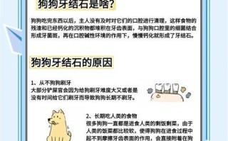幼犬牙松动的处理方法（幼犬牙松动的原因及防治措施）