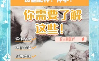 猫咪怀孕为何会继续发情？（猫咪怀孕期间的发情行为与原因解析）