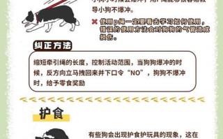 柴犬绝育的最佳时间是什么？（如何选择合适的绝育时间保护你的柴犬健康）