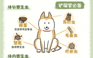 狗狗肚子有虫的表现及注意事项（揭秘狗狗肚子有虫的6个明显信号，主人必读！）