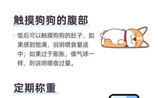 小狗未被喂饱的后果及解决方法