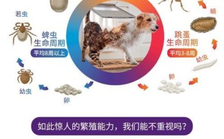 狗体外驱虫，多久为宜？（探讨犬只体外驱虫的最短间隔时间）