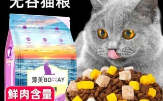 蓝猫与曼基康（探索这两种猫的外观、性格和护理需求）