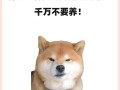 家狗为什么总盯着你看？（解读狗狗眼神的秘密与内涵）