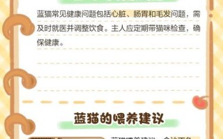 蓝猫的颜色深浅之争（探讨蓝猫深色与浅色的差异与魅力）