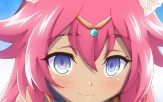 大柏树狐松鼠的饲养方法