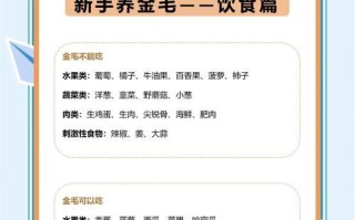 如何给幼犬提供营养均衡的饮食？（掌握关键营养需求，让幼犬健康成长）