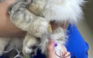 早上吐黄水是怎么回事？（探讨早上吐黄水的原因及应对方法）