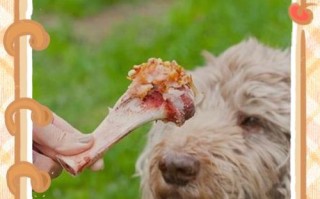 幼犬吞了磨牙棒，怎么办？（应急处理及预防幼犬吞食异物的方法）