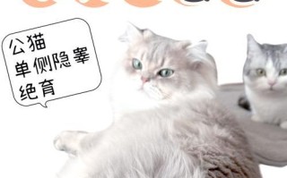 公猫绝育一年多了为什么还会骑（探究公猫绝育后仍有骑行行为的原因）