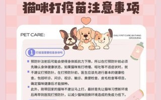 猫为什么越打越想打？（探索猫咪攻击行为背后的原因）