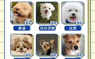为什么女孩子不能养狗？（探讨女孩子养狗的困难与挑战）