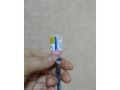 猫咪打针的重要性及常见副作用（保护猫咪健康，全面了解打针的必要性与风险）