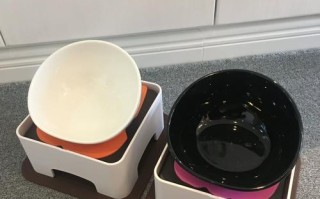 法国斗牛犬的禁食之道（宠物饮食守则及相关建议）