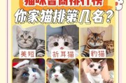 土猫智商（探究土猫的智商水平及其关键因素）