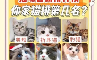 土猫智商（探究土猫的智商水平及其关键因素）