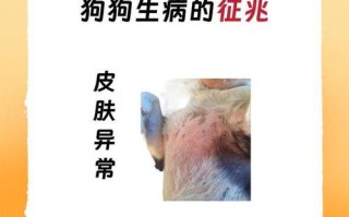 如何判断狗狗是否发烧？（掌握关键方法，保护宠物健康）