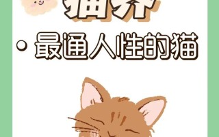 猫为什么没有被驯化？（揭开猫没有成为驯化动物的原因）