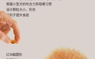 如何正确喂食幼犬狗粮，避免低血糖问题（掌握合适的喂食分量，保障幼犬健康成长）