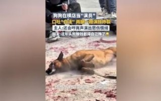 小狗为何口吐白沫？（探究小狗口吐白沫的原因及预防方法）